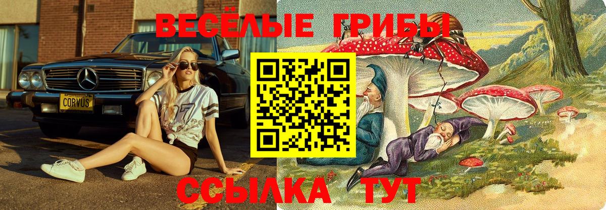 Галлюциногенные грибы Psilocybine cubensis Буйнакск
